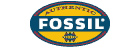 Fossil mrka